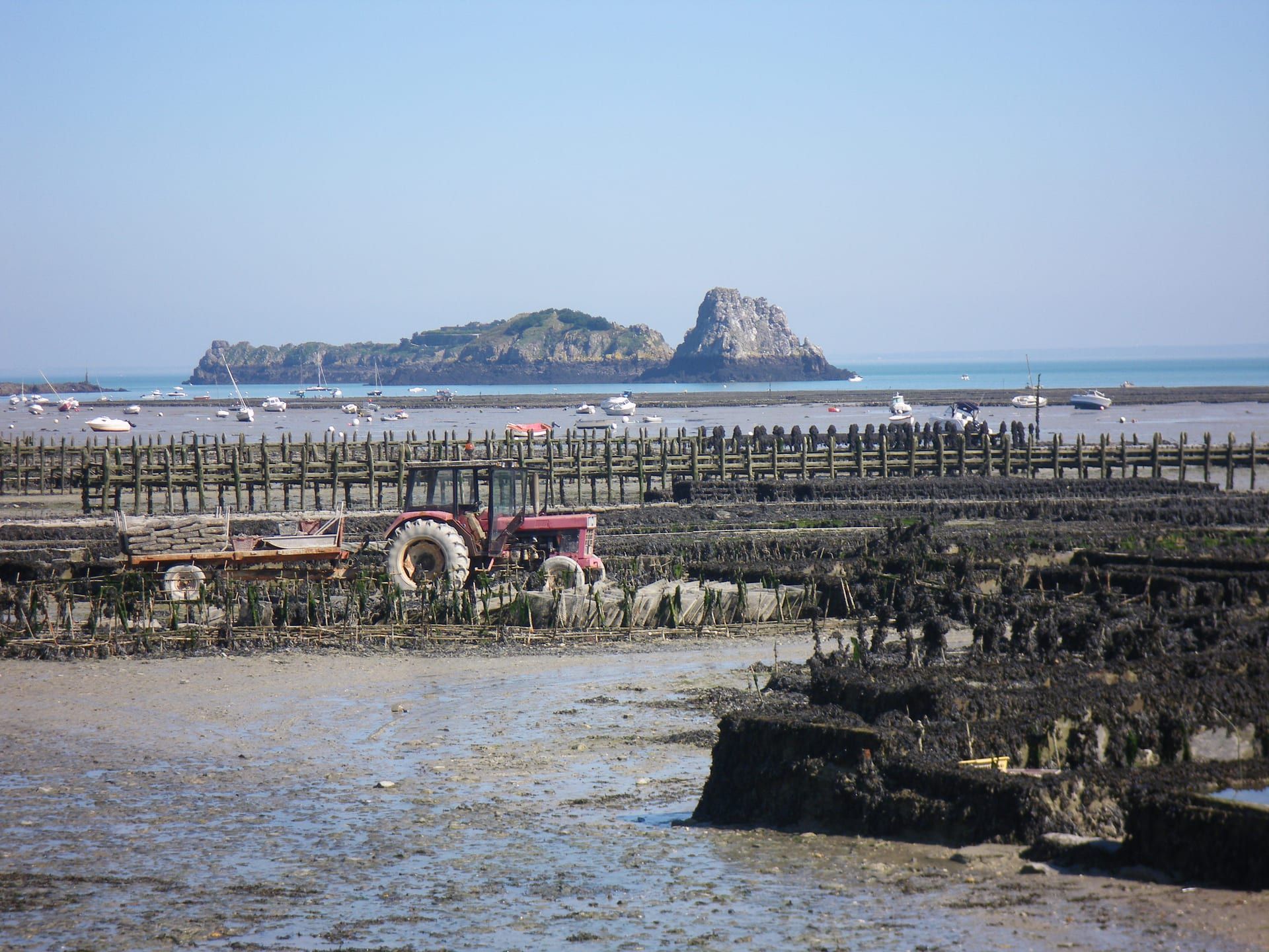Cancale — parcs à huîtres